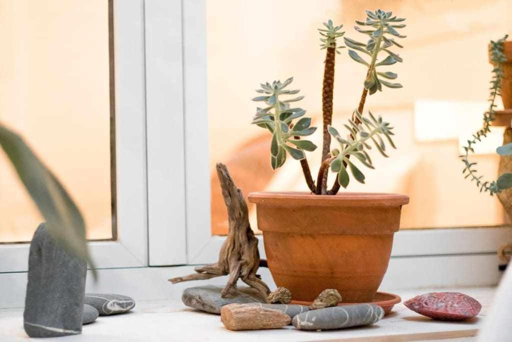 Monkeys Apartments La Artista Seville Ngoại thất bức ảnh